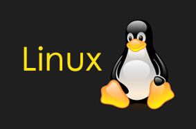 linux嵌入式开发+驱动开发